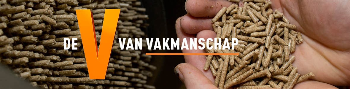 De oranje V van Vakmanschap