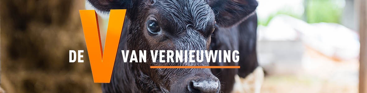 De oranje V van Vernieuwing