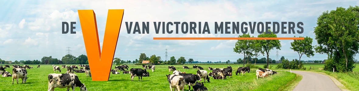 De oranje V van Victoria Mengvoeders