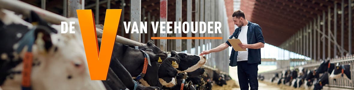 De oranje V van Veehouder