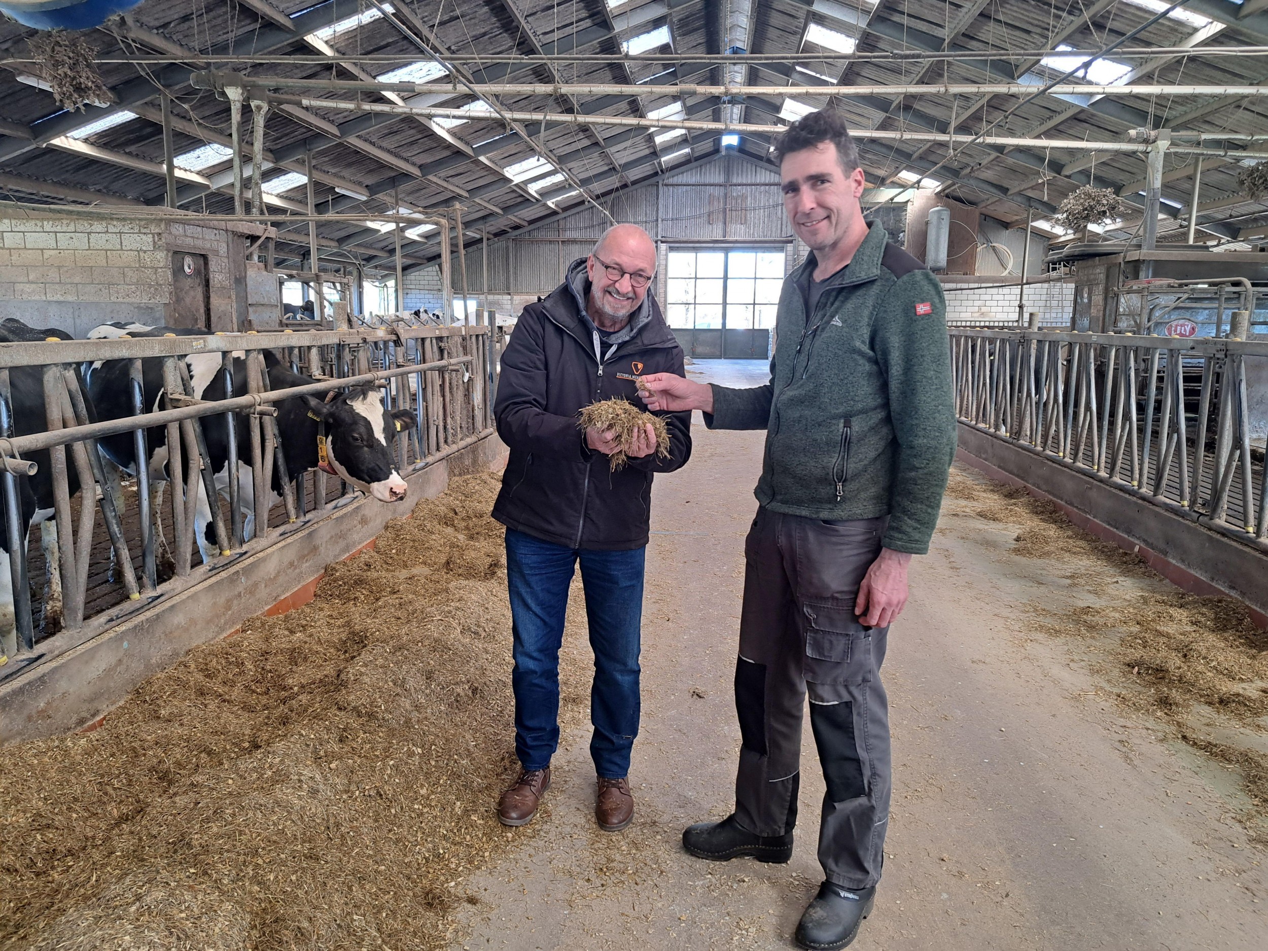 Rantsoen met Koe-ling